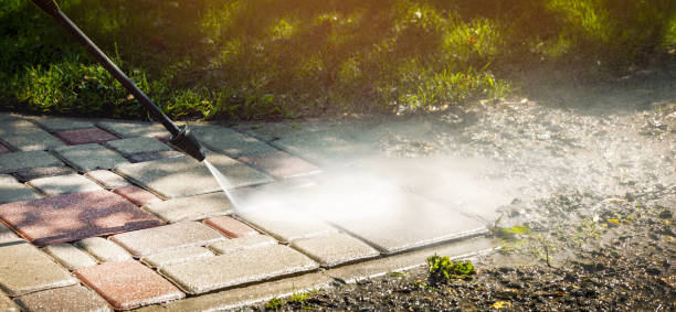 Best Animal Enclosure Cleaning  in Yuba City, CA